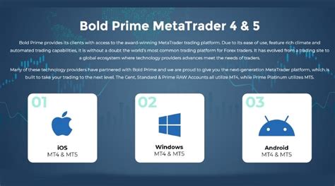 bold prime trading reviews.